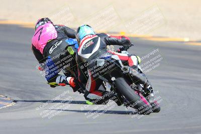 media/Mar-10-2024-SoCal Trackdays (Sun) [[6228d7c590]]/9-Turn 8 Backside (1150am)/